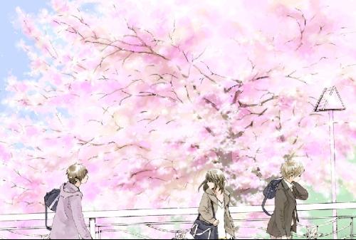 蘑菇视频离线版